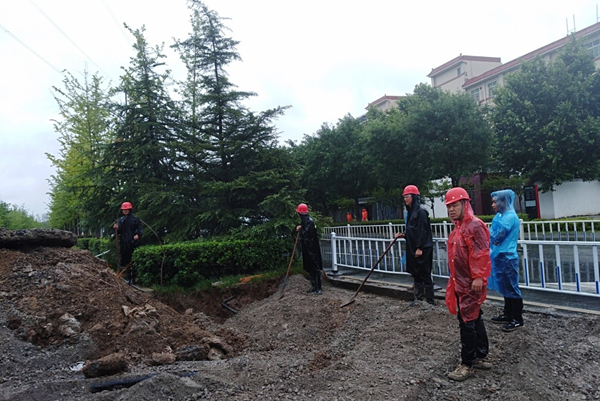 1624412355261687.jpg 3_副本.jpg